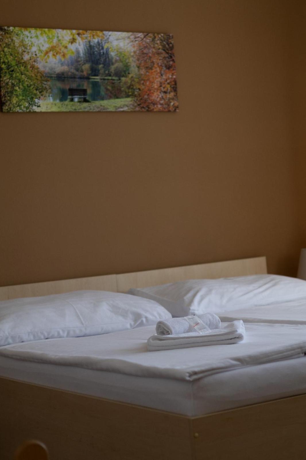 Pension Fontana Poděbrady Extérieur photo